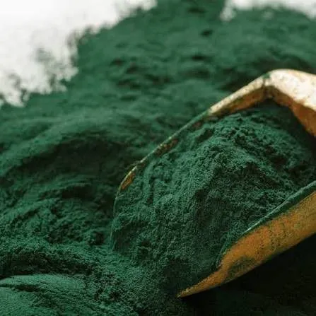 Spirulina em pó