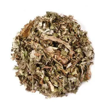 Alcachofra