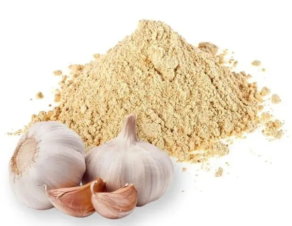 Alho desidratado pó